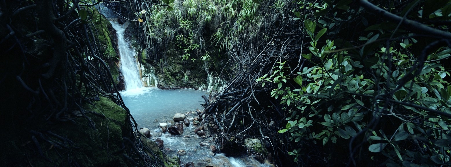 Dominica Citizenship Benefits