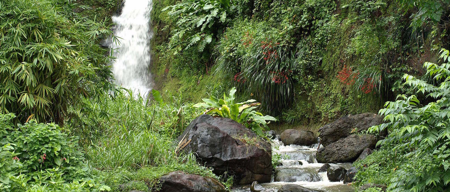 Grenada Investment Requirements